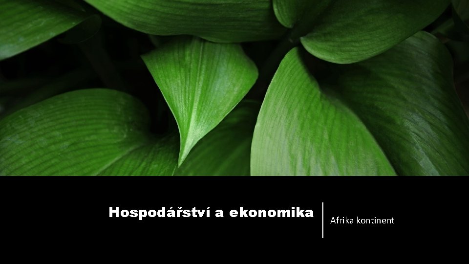 Hospodářství a ekonomika Afrika kontinent 