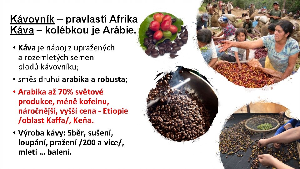 Kávovník – pravlastí Afrika Káva – kolébkou je Arábie. • Káva je nápoj z