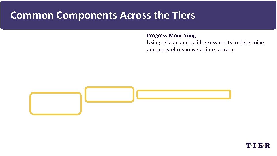 Common Components Across the Tiers Progress Monitoring Using reliable and valid assessments to determine