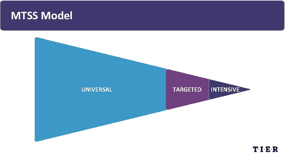 MTSS Model UNIVERSAL TARGETED INTENSIVE 