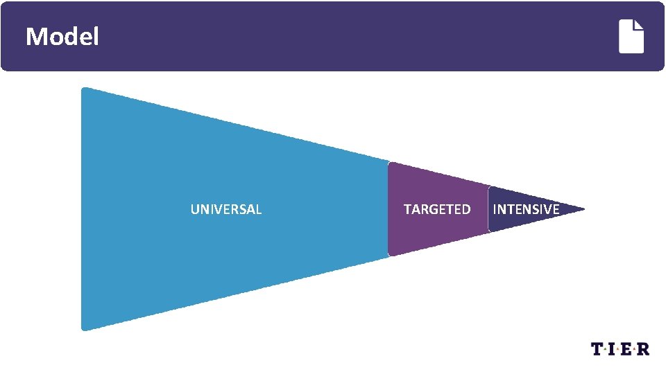 Model UNIVERSAL TARGETED INTENSIVE 