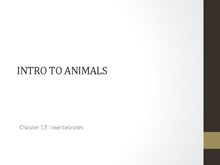 INTRO TO ANIMALS Chapter 12: Invertebrates 
