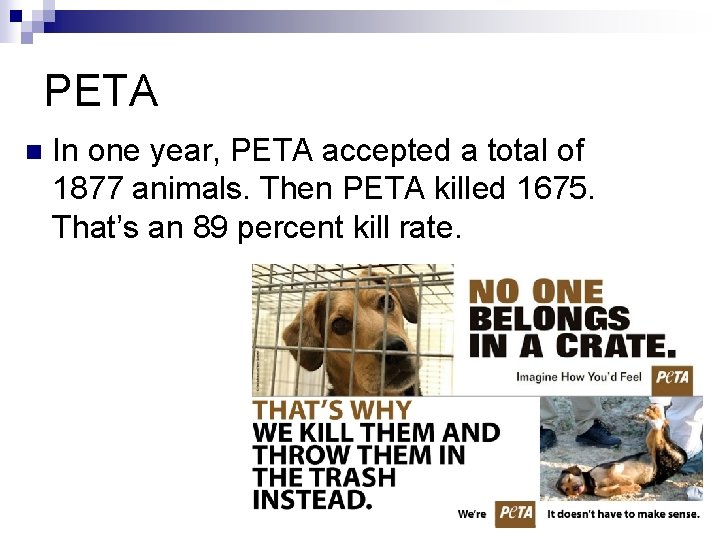 PETA n In one year, PETA accepted a total of 1877 animals. Then PETA