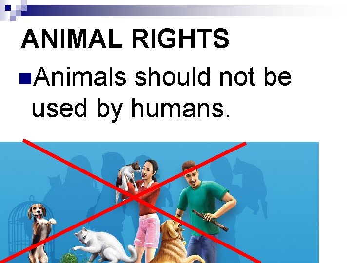 ANIMAL RIGHTS n. Animals should not be used by humans. 
