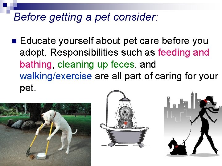 Before getting a pet consider: n Educate yourself about pet care before you adopt.