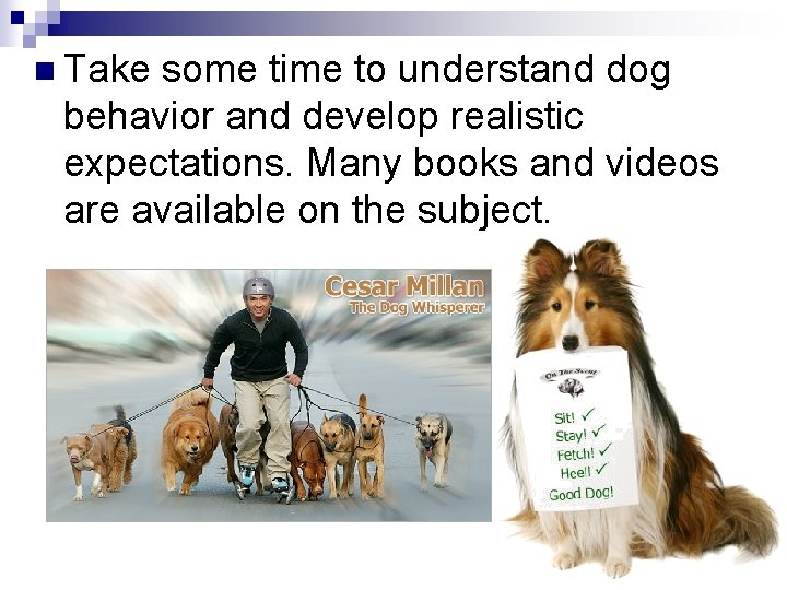 n Take some time to understand dog behavior and develop realistic expectations. Many books