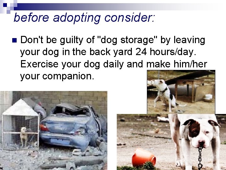 before adopting consider: n Don't be guilty of "dog storage" by leaving your dog