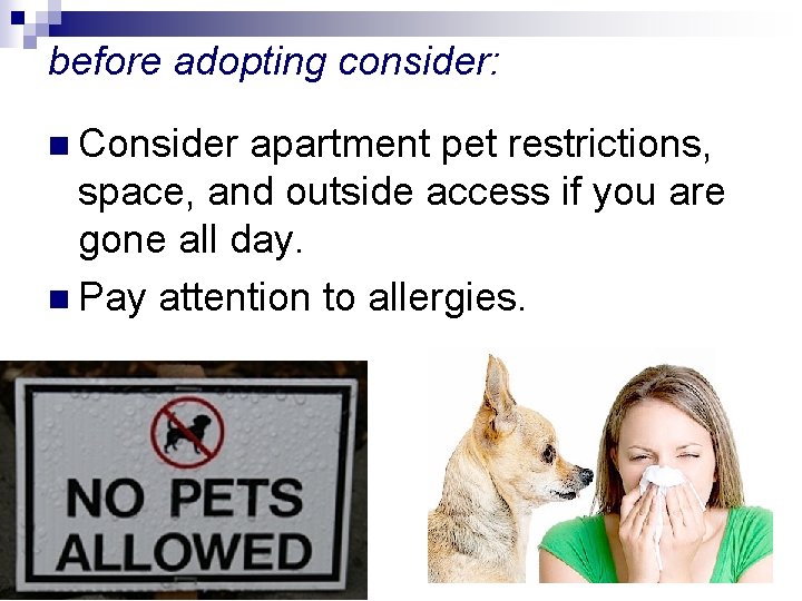 before adopting consider: n Consider apartment pet restrictions, space, and outside access if you