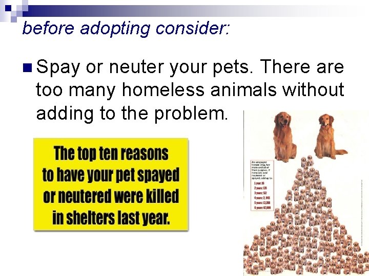 before adopting consider: n Spay or neuter your pets. There are too many homeless