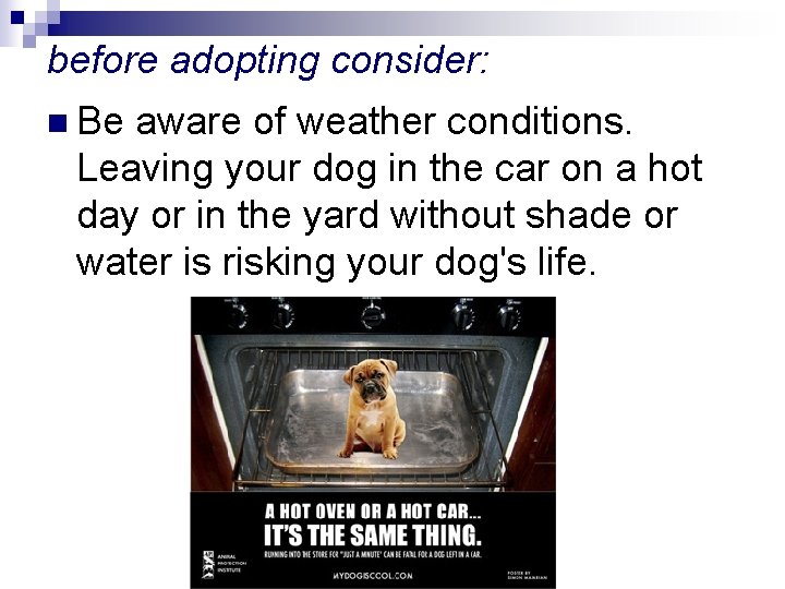 before adopting consider: n Be aware of weather conditions. Leaving your dog in the