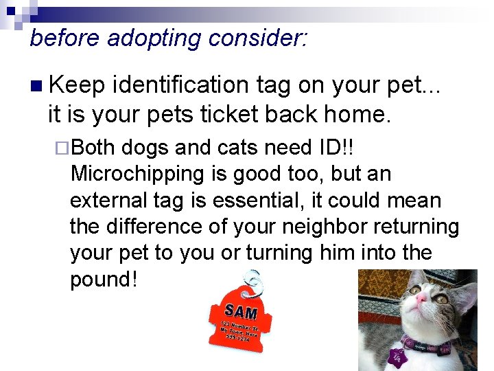 before adopting consider: n Keep identification tag on your pet. . . it is