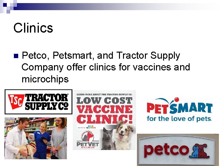 Clinics n Petco, Petsmart, and Tractor Supply Company offer clinics for vaccines and microchips