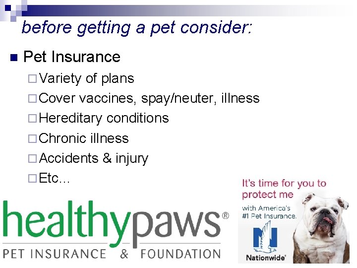 before getting a pet consider: n Pet Insurance ¨ Variety of plans ¨ Cover