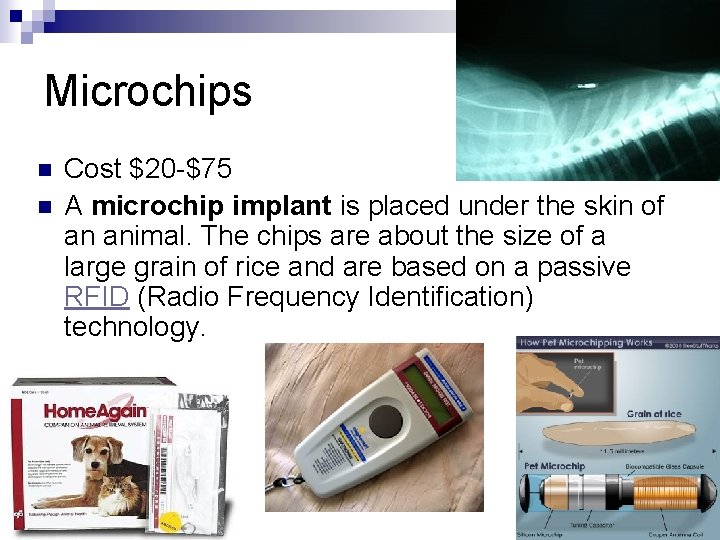 Microchips n n Cost $20 -$75 A microchip implant is placed under the skin