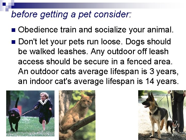 before getting a pet consider: Obedience train and socialize your animal. n Don't let