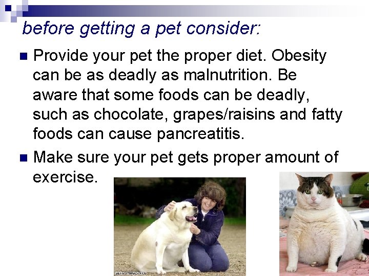 before getting a pet consider: Provide your pet the proper diet. Obesity can be