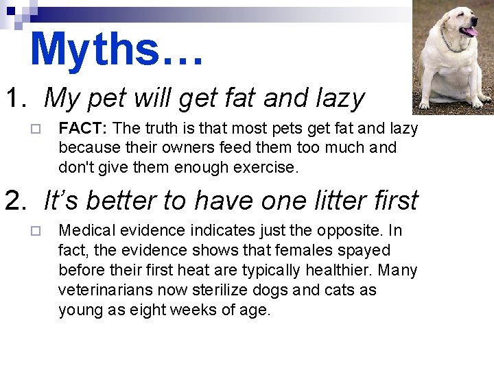 Myths… 1. My pet will get fat and lazy ¨ FACT: The truth is