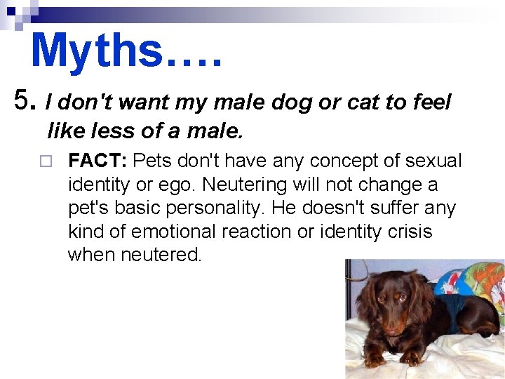 Myths…. 5. I don't want my male dog or cat to feel like less