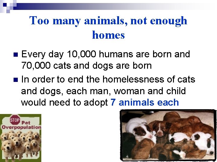 Too many animals, not enough homes Every day 10, 000 humans are born and