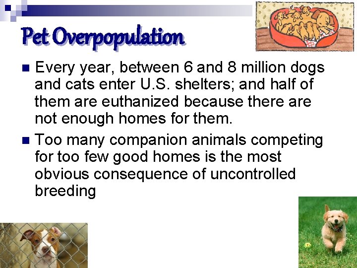 Pet Overpopulation Every year, between 6 and 8 million dogs and cats enter U.
