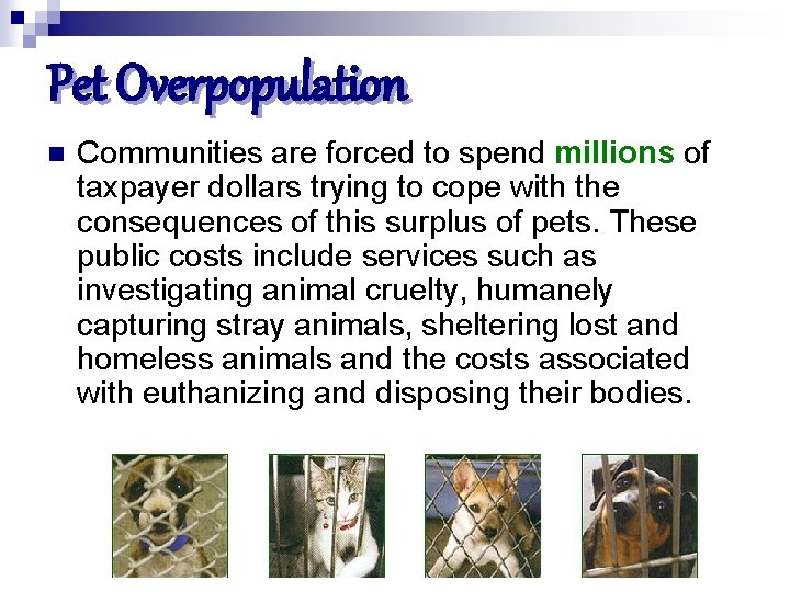 Pet Overpopulation n Communities are forced to spend millions of taxpayer dollars trying to