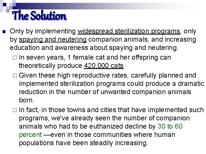 The Solution n Only by implementing widespread sterilization programs, only by spaying and neutering