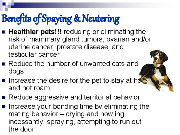 Benefits of Spaying & Neutering n n n Healthier pets!!! reducing or eliminating the