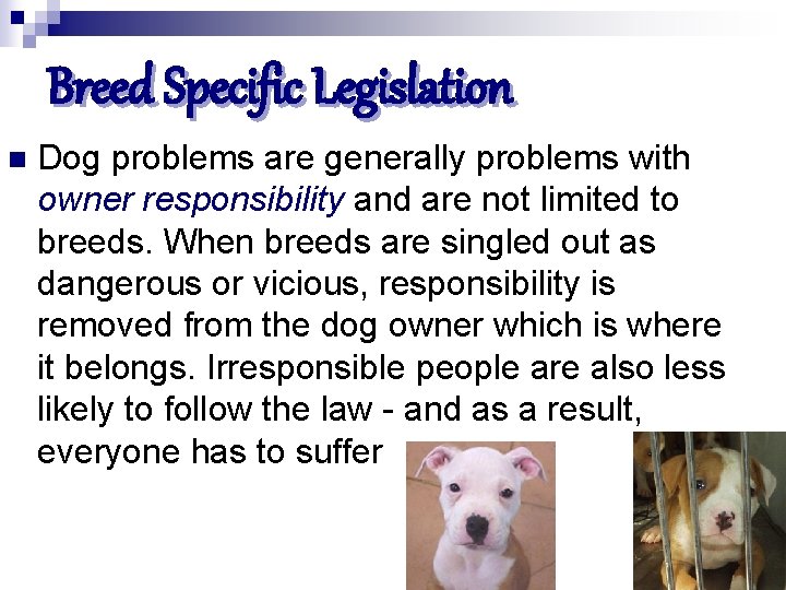 Breed Specific Legislation n Dog problems are generally problems with owner responsibility and are