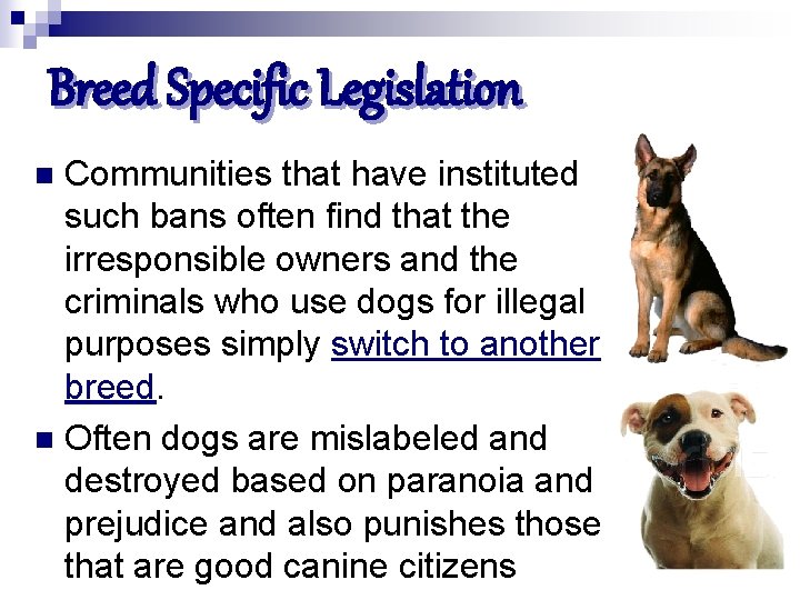 Breed Specific Legislation Communities that have instituted such bans often find that the irresponsible