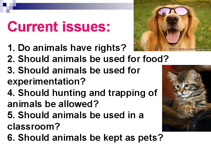 Current issues: 1. Do animals have rights? 2. Should animals be used for food?