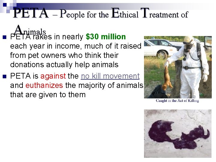 PETA – People for the Ethical Treatment of A nimals n PETA rakes in