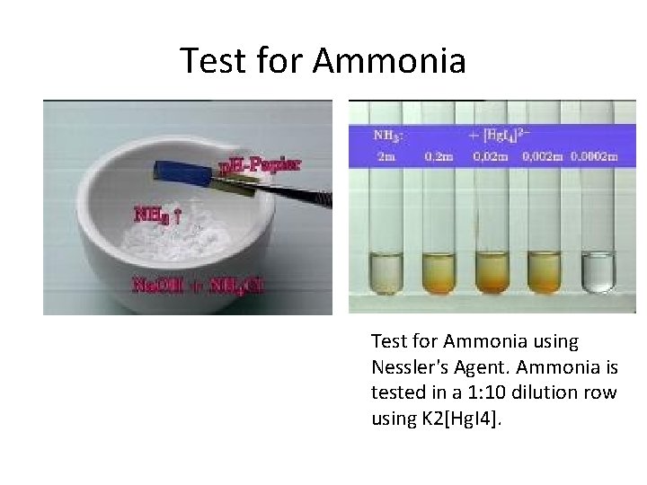 Test for Ammonia using Nessler's Agent. Ammonia is tested in a 1: 10 dilution