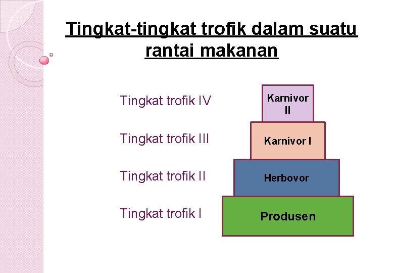 Tingkat-tingkat trofik dalam suatu rantai makanan Tingkat trofik IV Karnivor II Tingkat trofik III