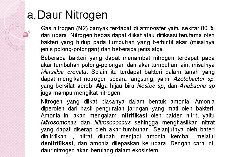 a. Daur Nitrogen Gas nitrogen (N 2) banyak terdapat di atmoosfer yaitu sekitar 80