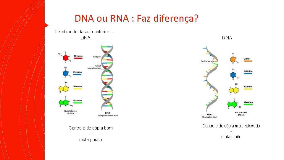 DNA ou RNA : Faz diferença? Lembrando da aula anterior. . DNA Controle de