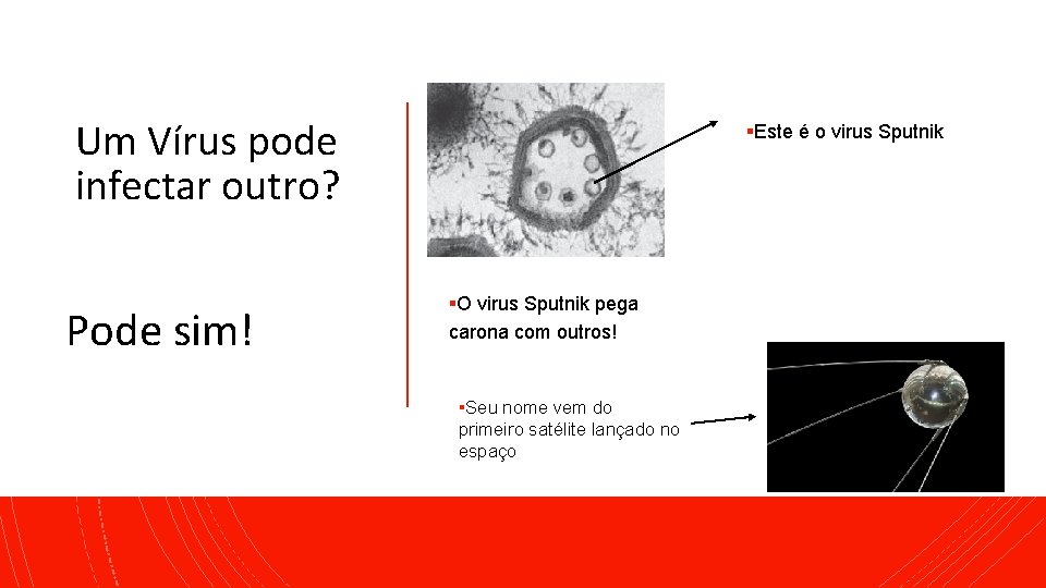 Um Vírus pode infectar outro? Pode sim! ▪Este é o virus Sputnik ▪O virus