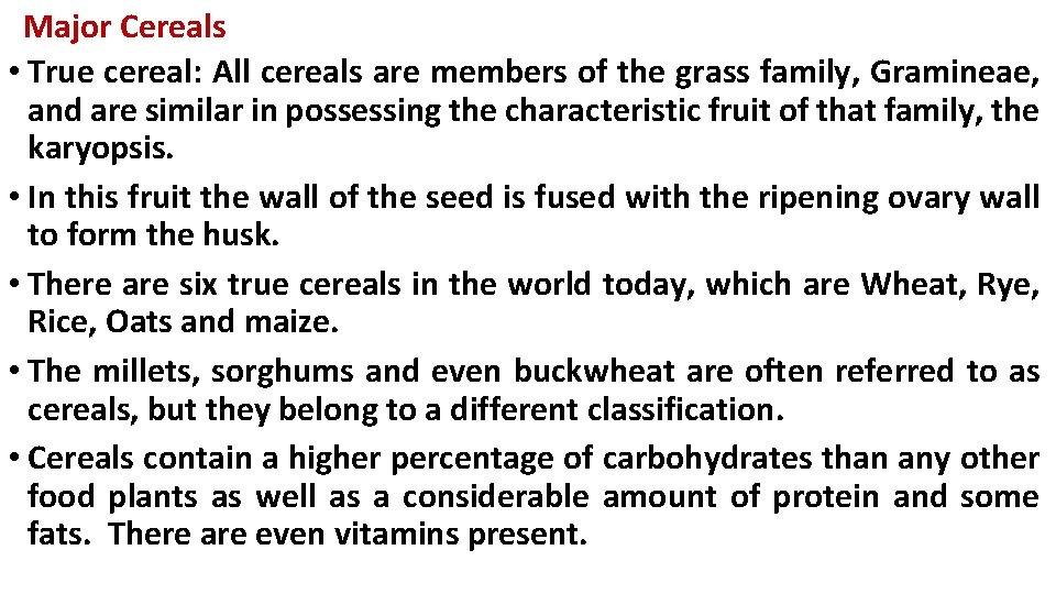 Major Cereals • True cereal: All cereals are members of the grass family, Gramineae,