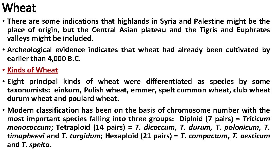 Wheat • There are some indications that highlands in Syria and Palestine might be