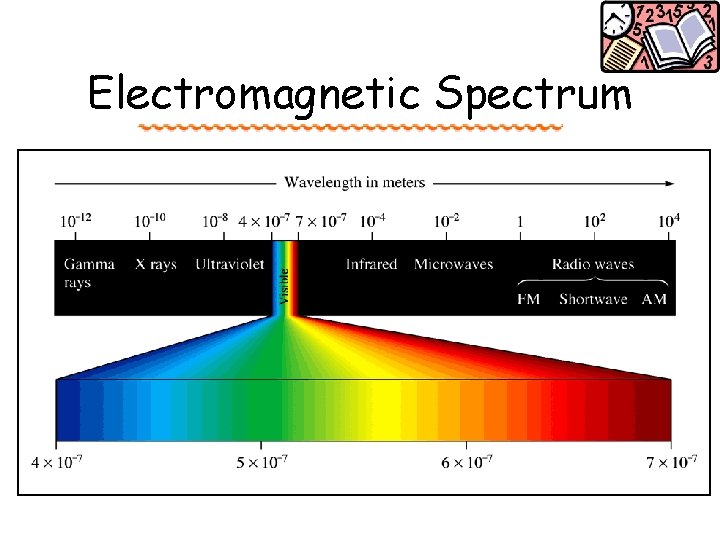 Electromagnetic Spectrum 