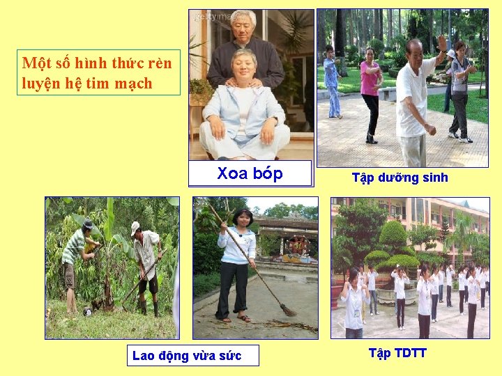 Một số hình thức rèn luyện hệ tim mạch Xoa bóp Lao động vừa