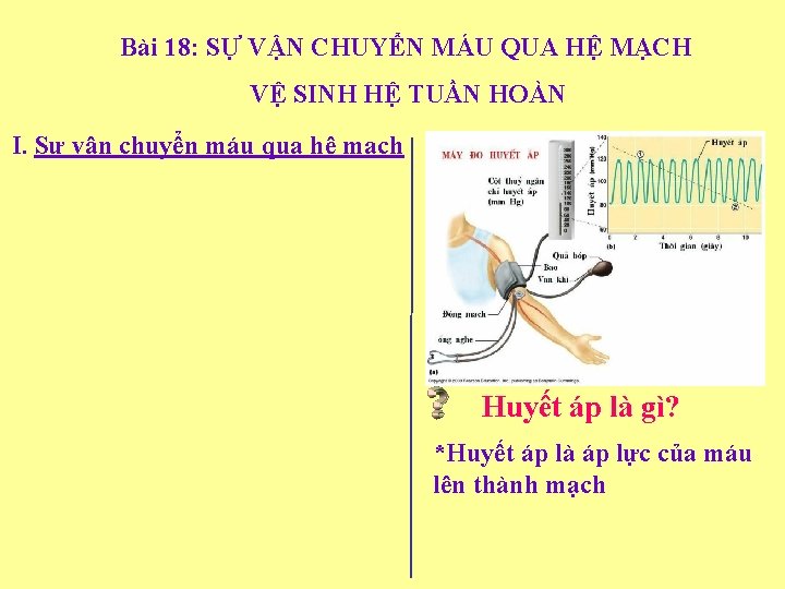 Bài 18: SỰ VẬN CHUYỂN MÁU QUA HỆ MẠCH VỆ SINH HỆ TUẦN HOÀN