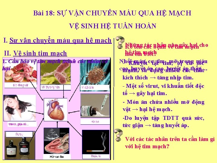 Bài 18: SỰ VẬN CHUYỂN MÁU QUA HỆ MẠCH VỆ SINH HỆ TUẦN HOÀN