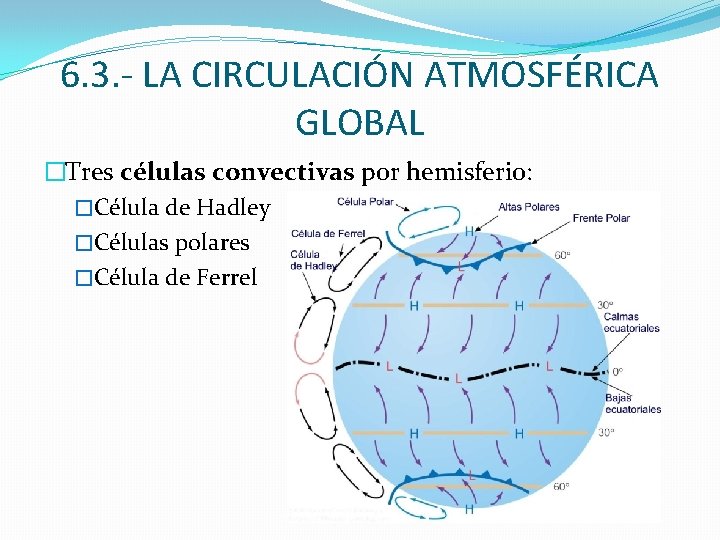 6. 3. - LA CIRCULACIÓN ATMOSFÉRICA GLOBAL �Tres células convectivas por hemisferio: �Célula de 6. 3. - LA CIRCULACIÓN ATMOSFÉRICA GLOBAL �Tres células convectivas por hemisferio: �Célula de