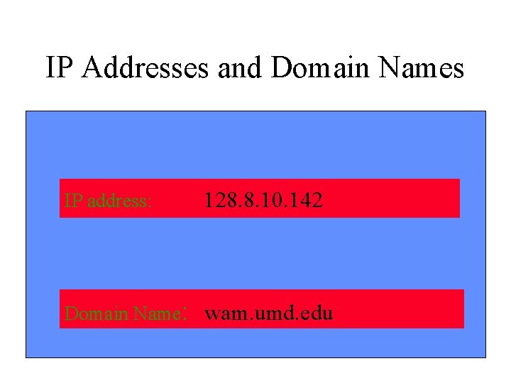 IP Addresses and Domain Names IP address: 128. 8. 10. 142 Domain Name: wam.