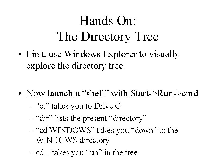 Hands On: The Directory Tree • First, use Windows Explorer to visually explore the