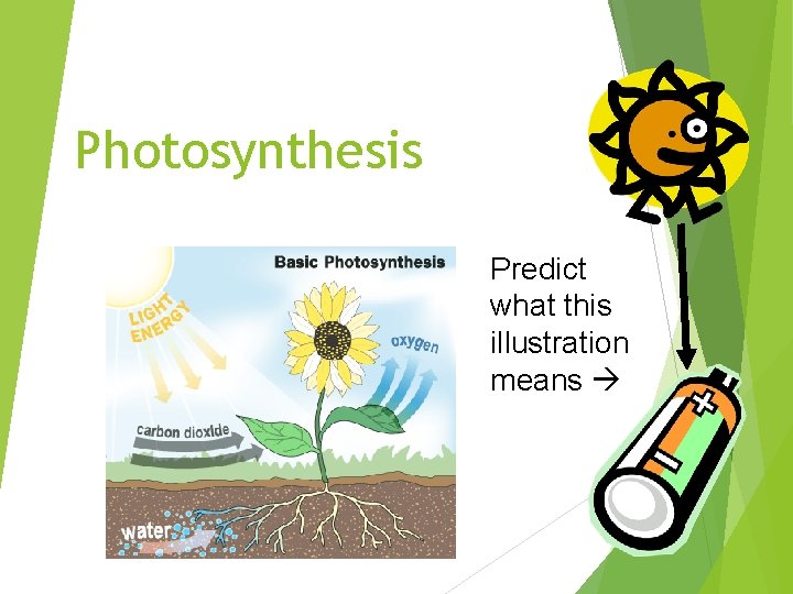 Photosynthesis Predict what this illustration means 