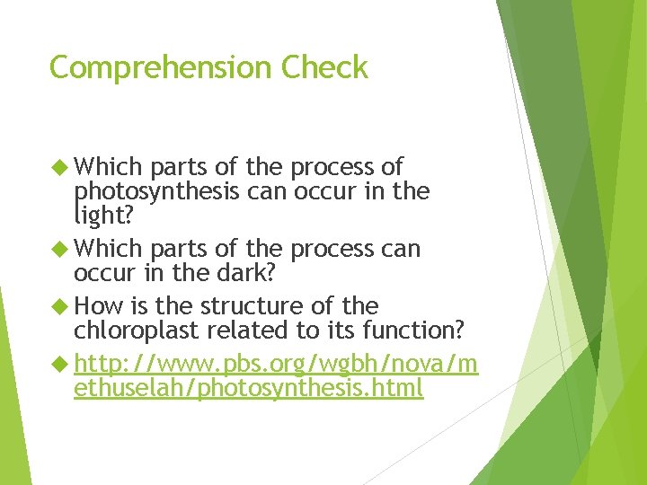 Comprehension Check Which parts of the process of photosynthesis can occur in the light?