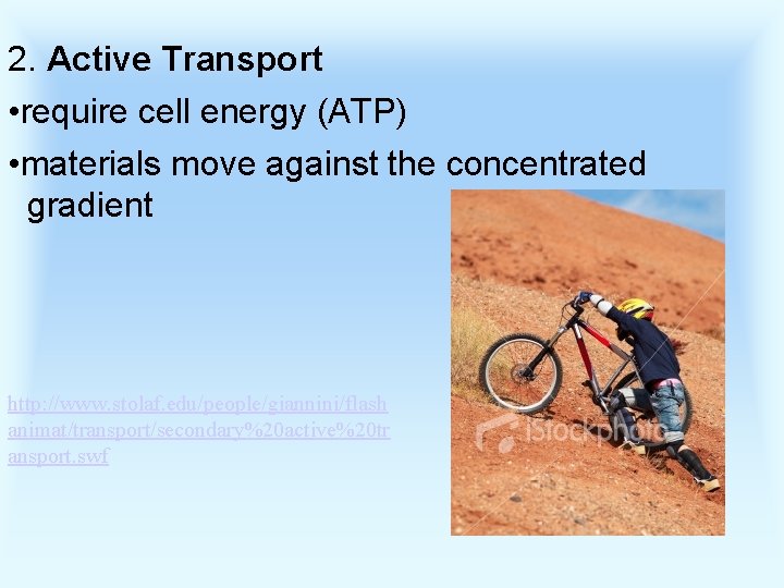 2. Active Transport • require cell energy (ATP) • materials move against the concentrated