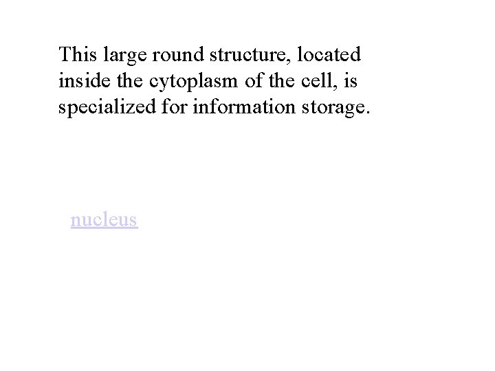 This large round structure, located inside the cytoplasm of the cell, is specialized for