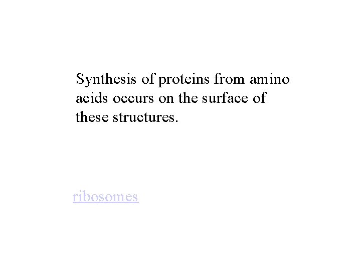 Synthesis of proteins from amino acids occurs on the surface of these structures. ribosomes